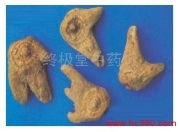 成飛中藥行中成藥產(chǎn)品相冊圖片介紹