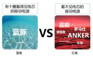 藍豚微科技 以設計驅動，以策略領航，鑄就品牌營銷新高度